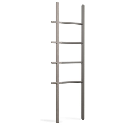 Hub Storage Ladder